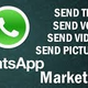 Illustration for article titled Bulk Whatsapp Message/SMS Marketing Service in Delhi, Indiaem/em